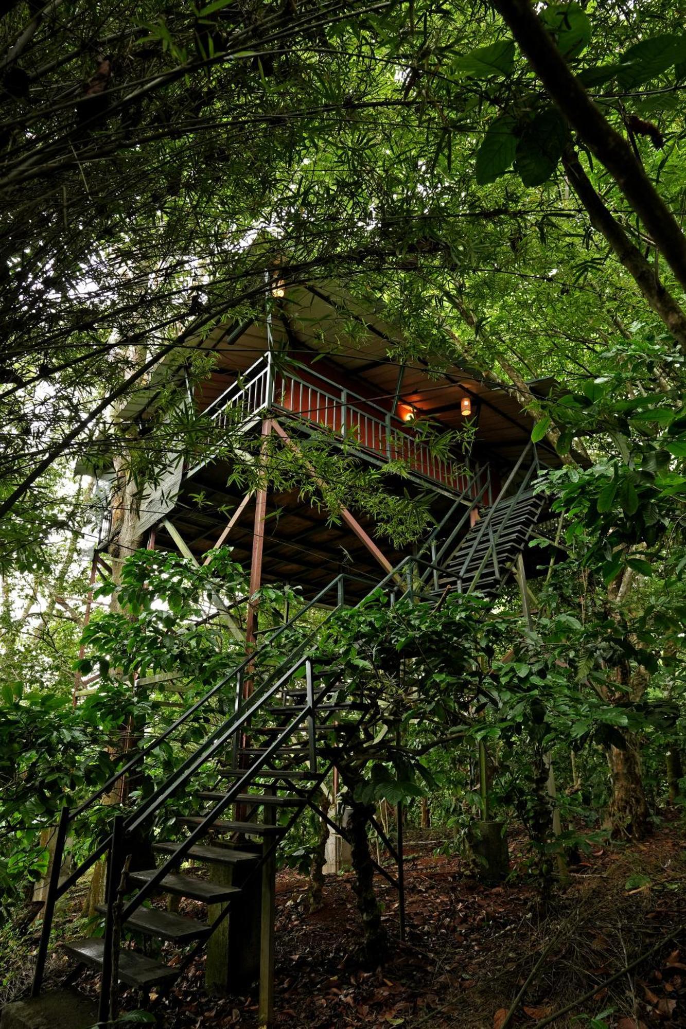 Coffee Acres Resort Kalpetta Exterior photo
